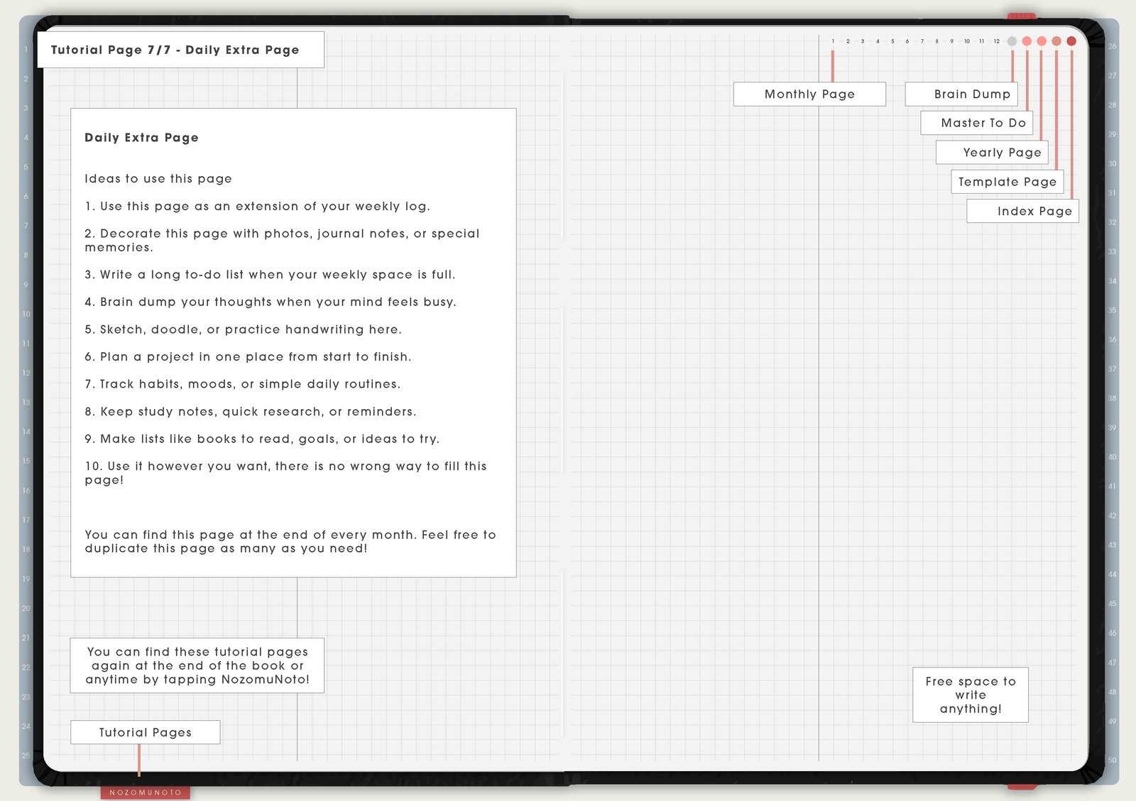 Tutorial Page 7/7 - Daily Extra Page