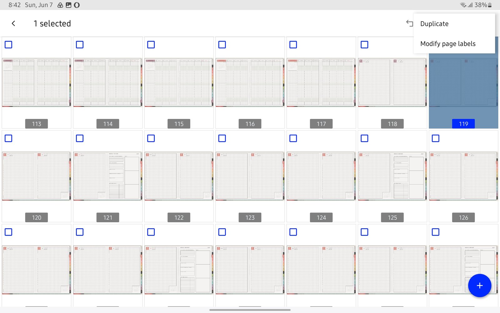 Duplicate one template page