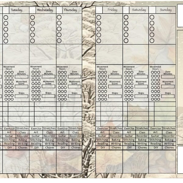Karli shared a NozomuNoto planner photo