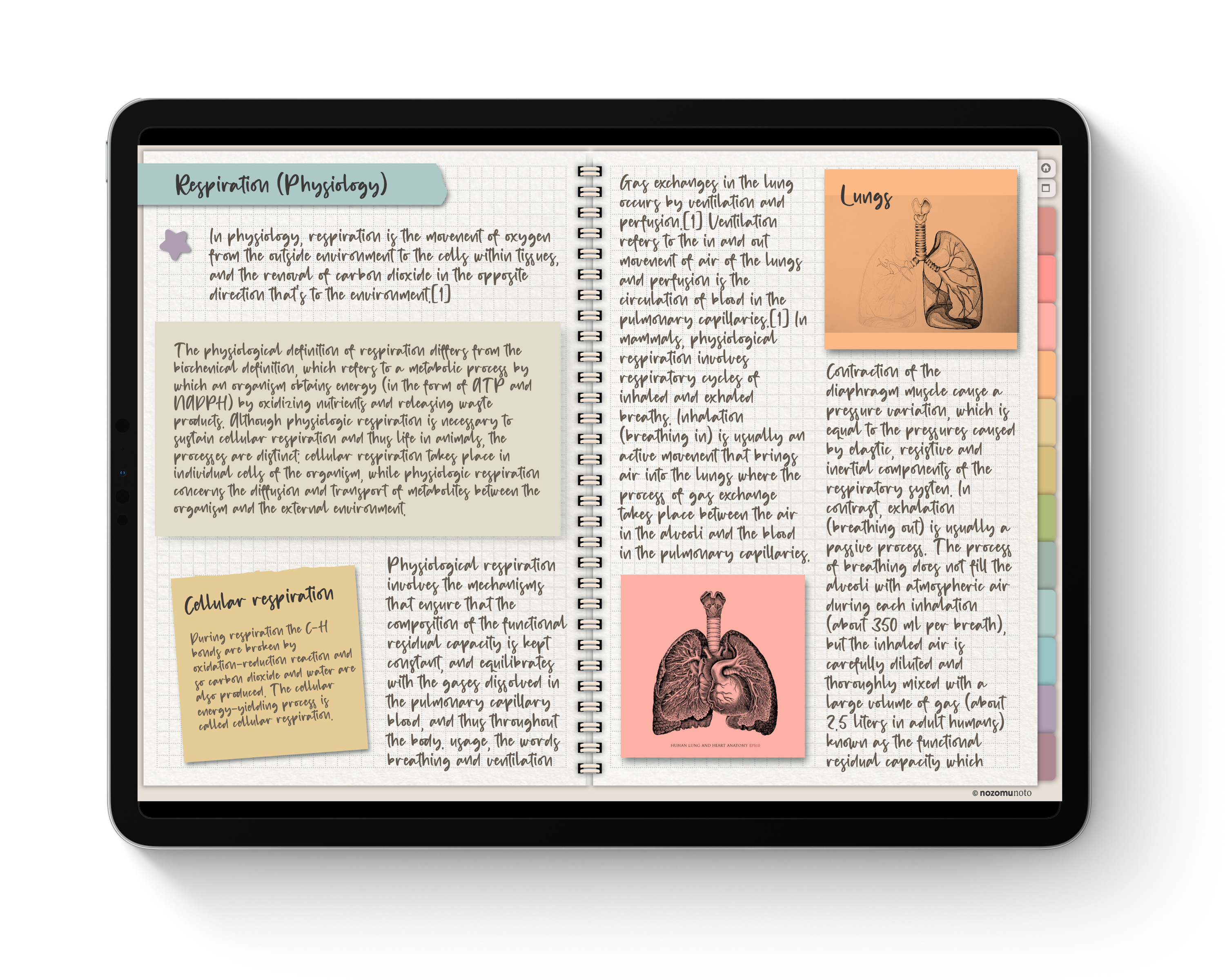 Digital Notebook V1 Landscape Yume Noto NozomuNoto Japanese Multipurpose Minimalist ADHD Bullet Journal Hyperlinked PDF Goodnotes Notability Android Tablet iPad Student Study Teacher Travel Cornell Grid Lines Dotted Template Noteshelf Samsung Xodo